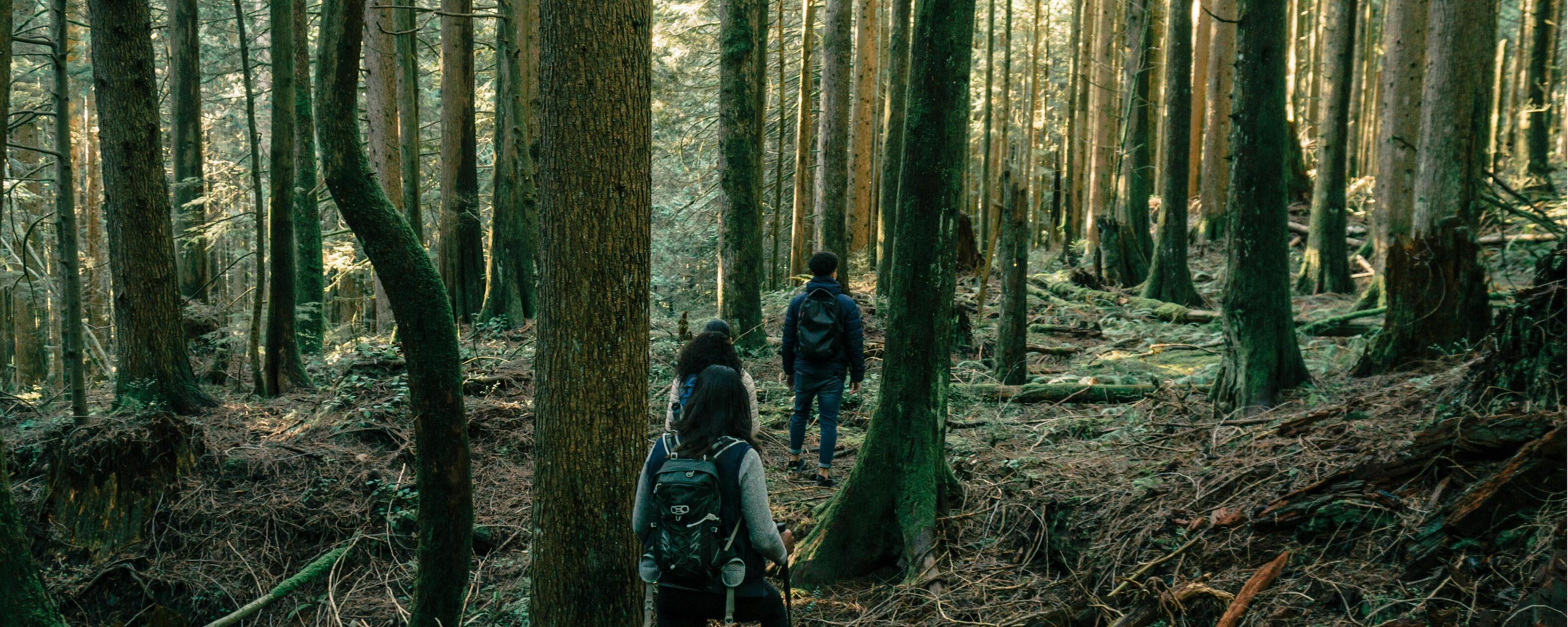 pexels-pnw-prod-7625264
